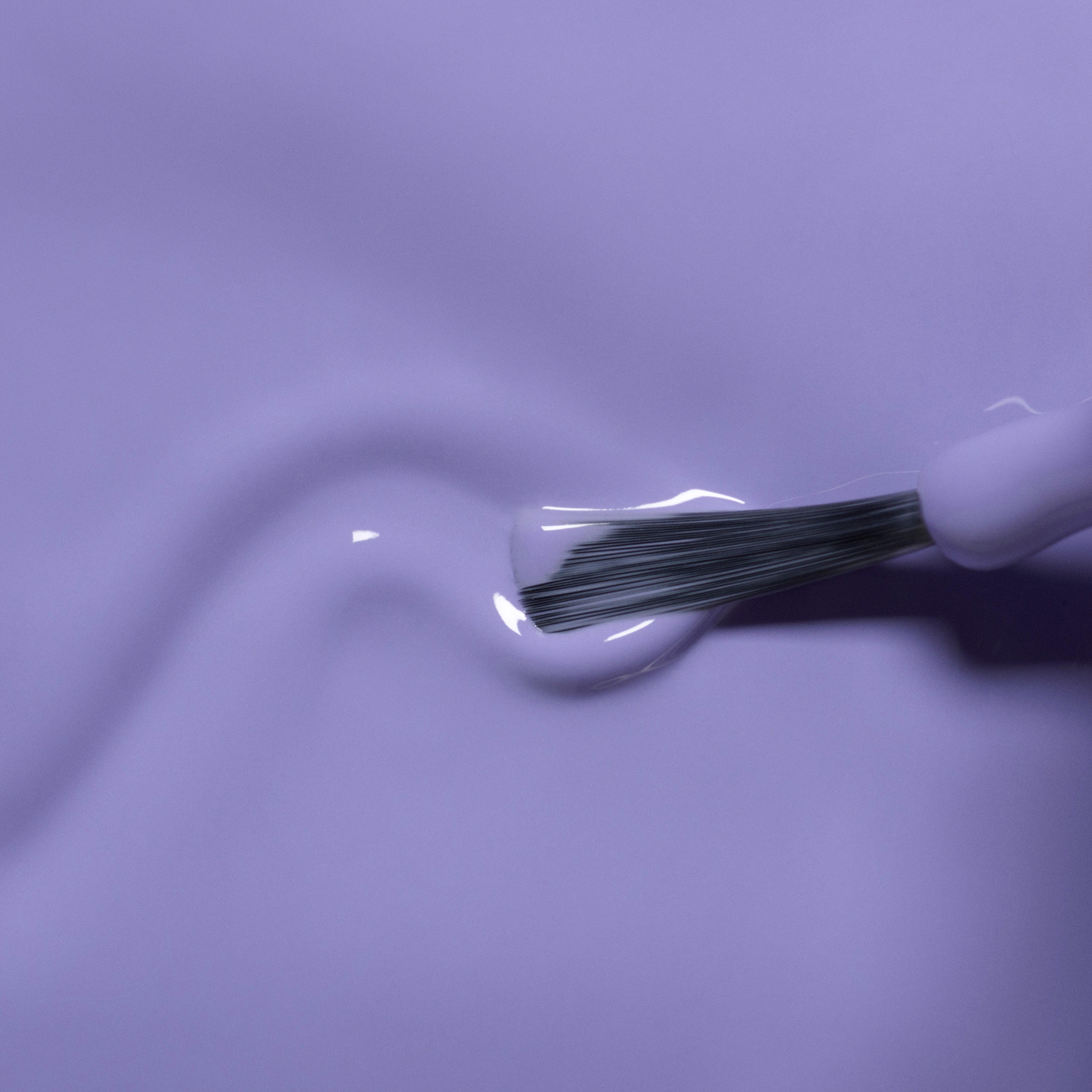 Hector le Stégosaure